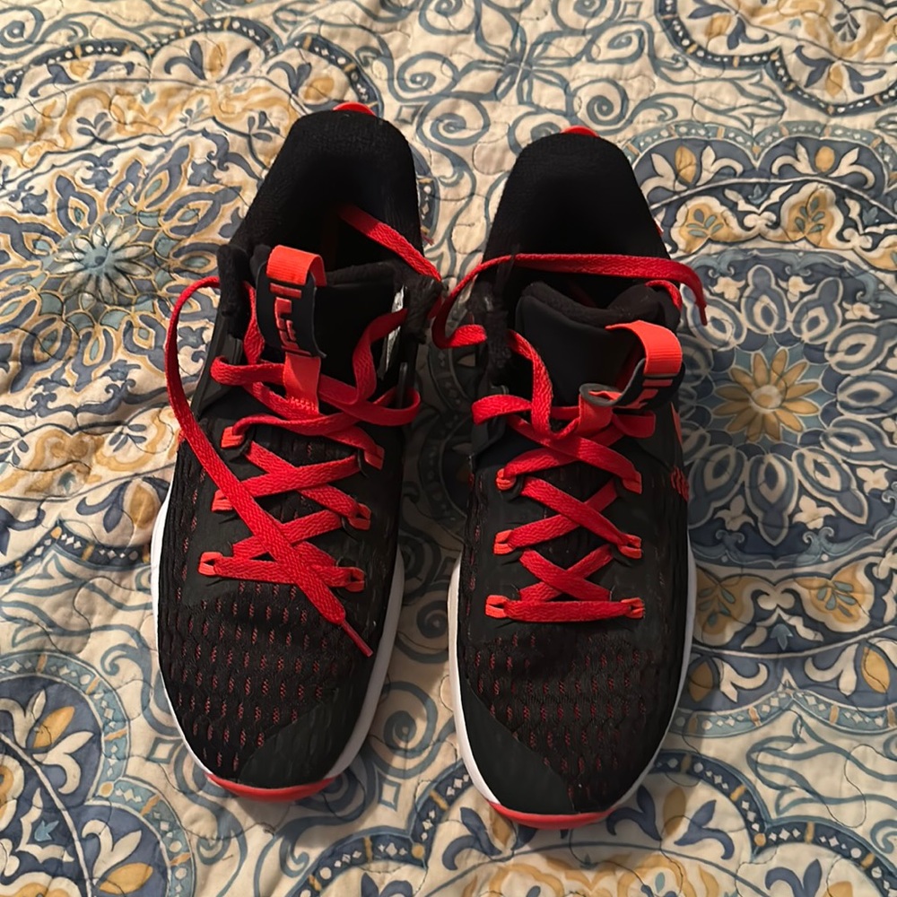 Nike LeBron James Basketball Sneakers